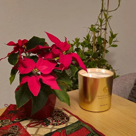 Karolingerweg 招待所 Lauterhofen