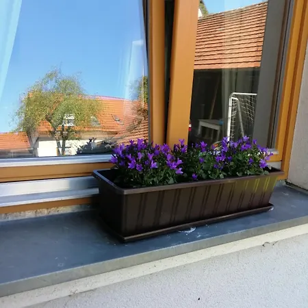 Karolingerweg 2*